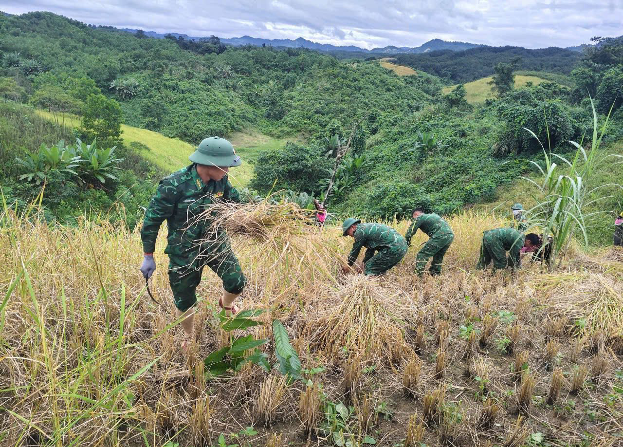 Sau lũ, người dân hối hả gia cố nhà cửa chống bão- Ảnh 6. Sau lũ, người dân hối hả gia cố nhà cửa chống bão- Ảnh 6.