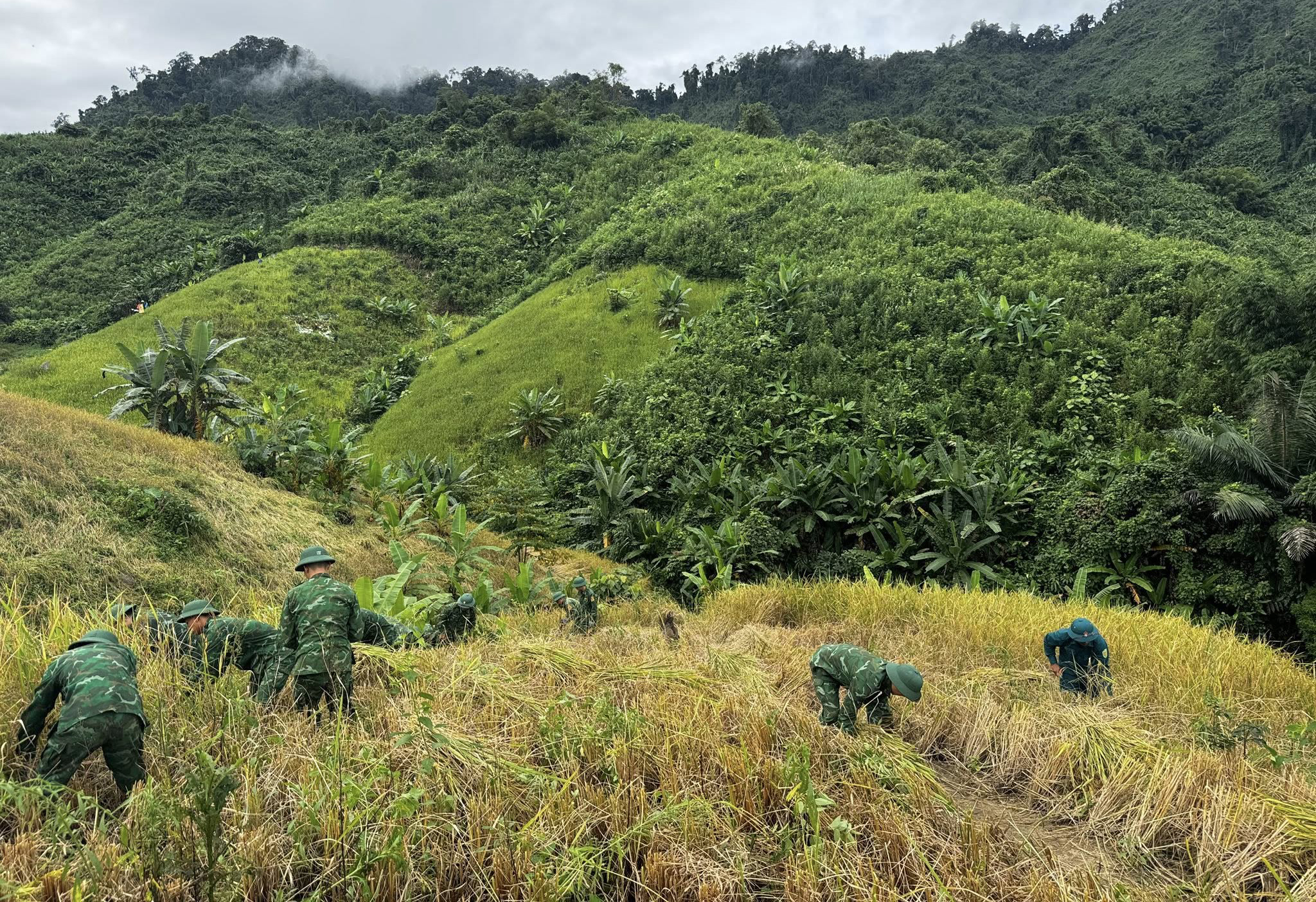 Sau lũ, người dân hối hả gia cố nhà cửa chống bão- Ảnh 7. Sau lũ, người dân hối hả gia cố nhà cửa chống bão- Ảnh 7.