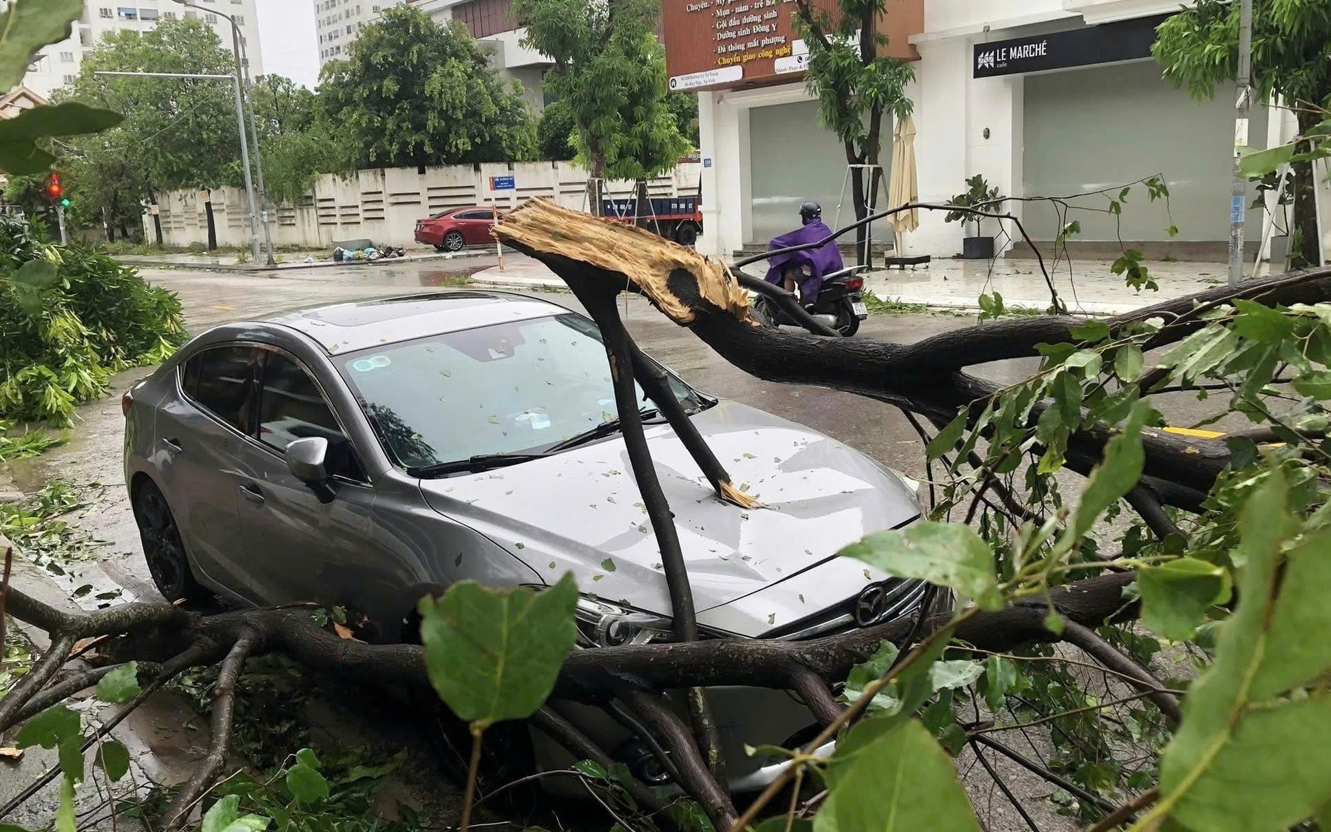 TPHCM ứng phó 'nguy cơ kép' bão Kalmaegi trùng đỉnh triều cường- Ảnh 3. TPHCM ứng phó 'nguy cơ kép' bão Kalmaegi trùng đỉnh triều cường- Ảnh 3.