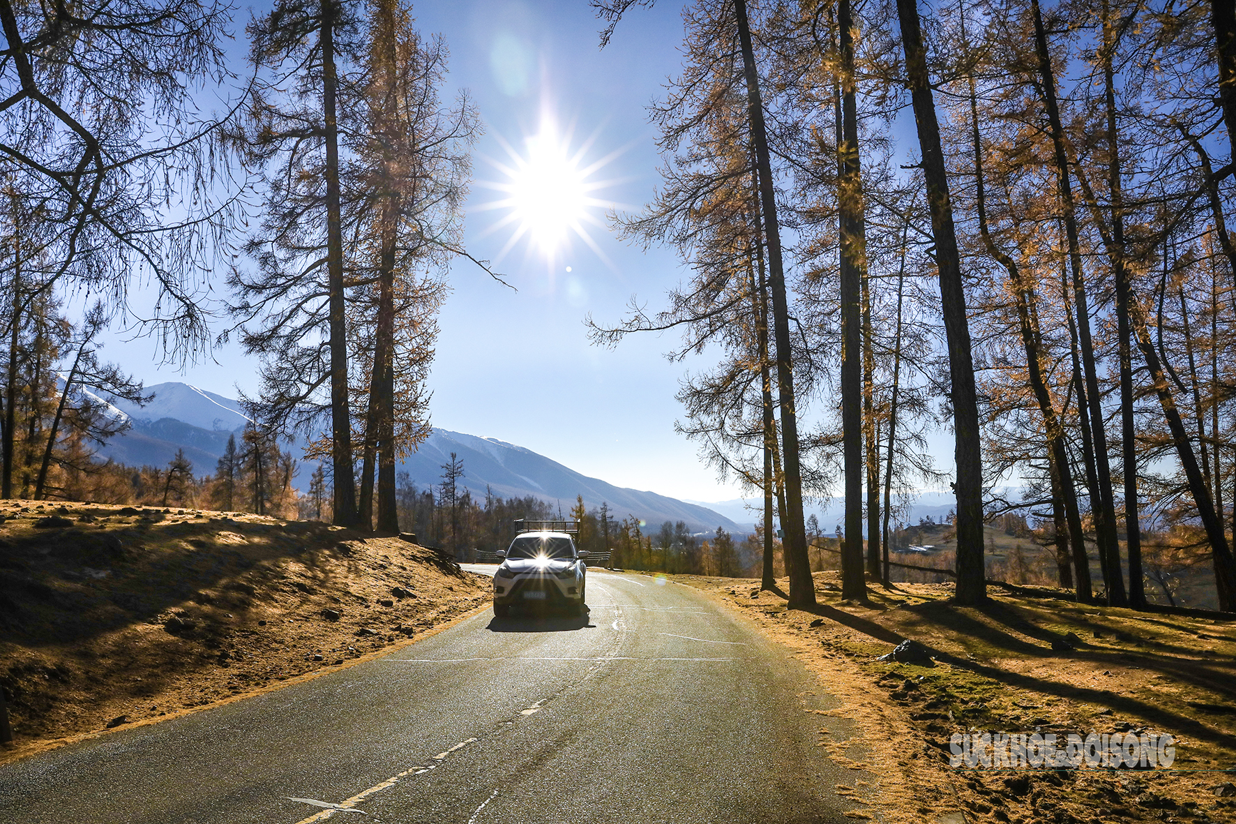 Mùa thu ở Tân Cương trải dài như dải lụa vàng giữa trời và đất- Ảnh 9. Mùa thu ở Tân Cương trải dài như dải lụa vàng giữa trời và đất- Ảnh 9.