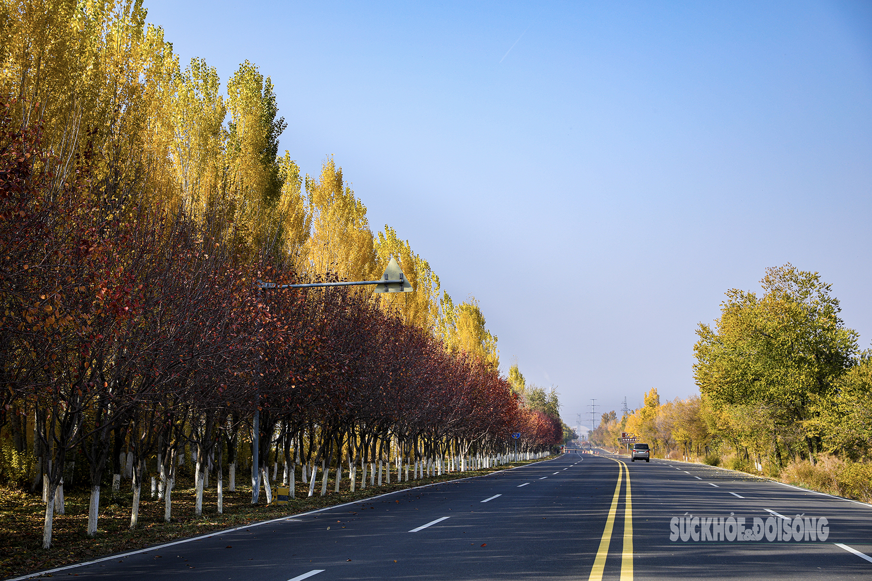 Mùa thu ở Tân Cương trải dài như dải lụa vàng giữa trời và đất- Ảnh 8. Mùa thu ở Tân Cương trải dài như dải lụa vàng giữa trời và đất- Ảnh 8.