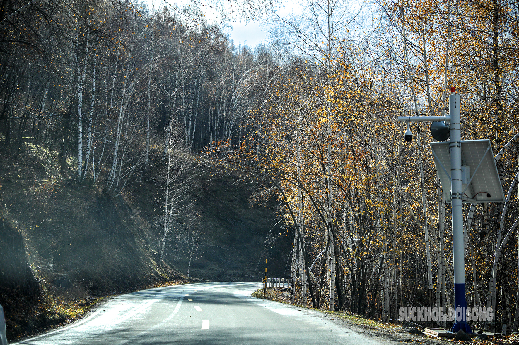 Mùa thu ở Tân Cương trải dài như dải lụa vàng giữa trời và đất- Ảnh 7. Mùa thu ở Tân Cương trải dài như dải lụa vàng giữa trời và đất- Ảnh 7.