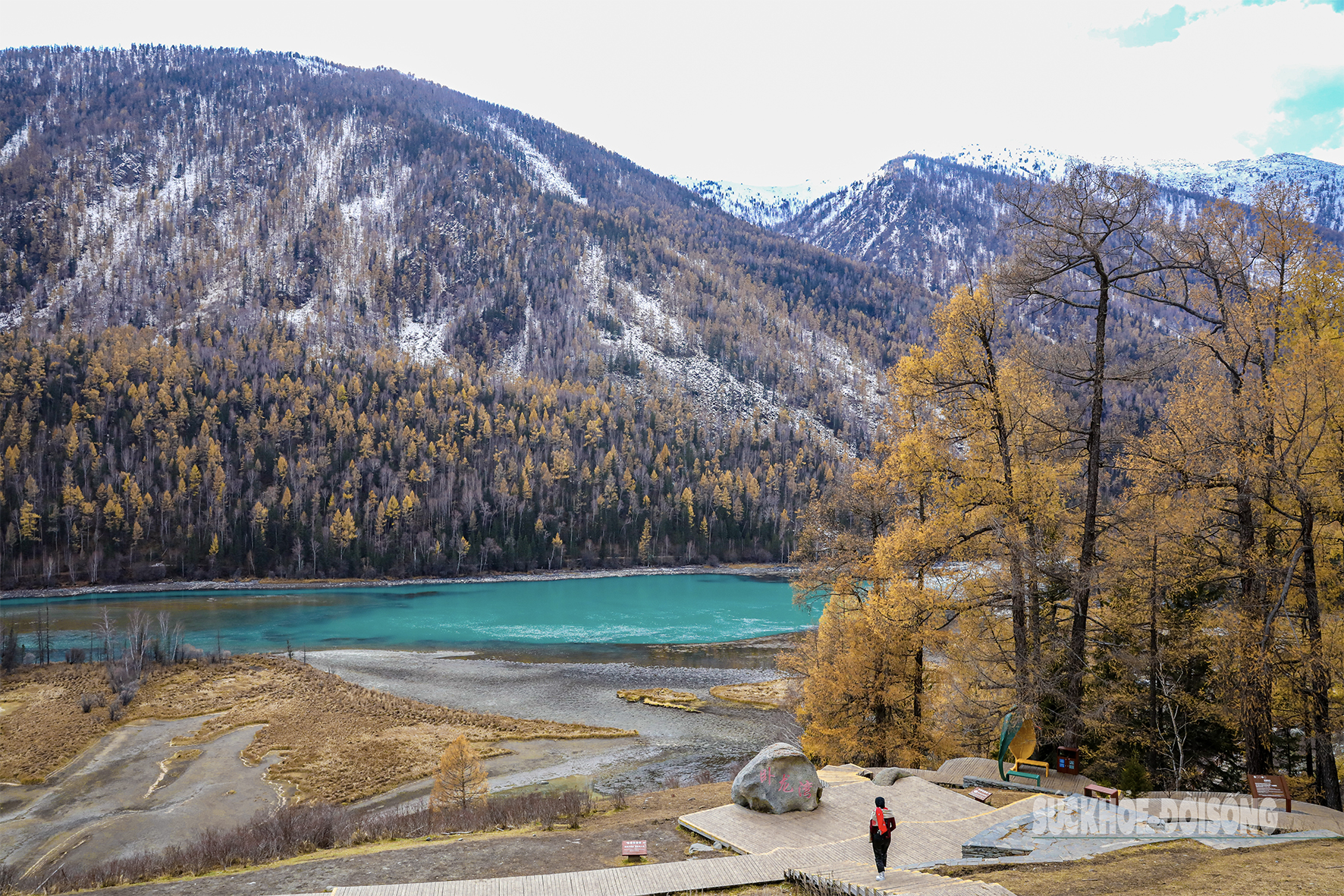 Mùa thu ở Tân Cương trải dài như dải lụa vàng giữa trời và đất- Ảnh 1. Mùa thu ở Tân Cương trải dài như dải lụa vàng giữa trời và đất- Ảnh 1.