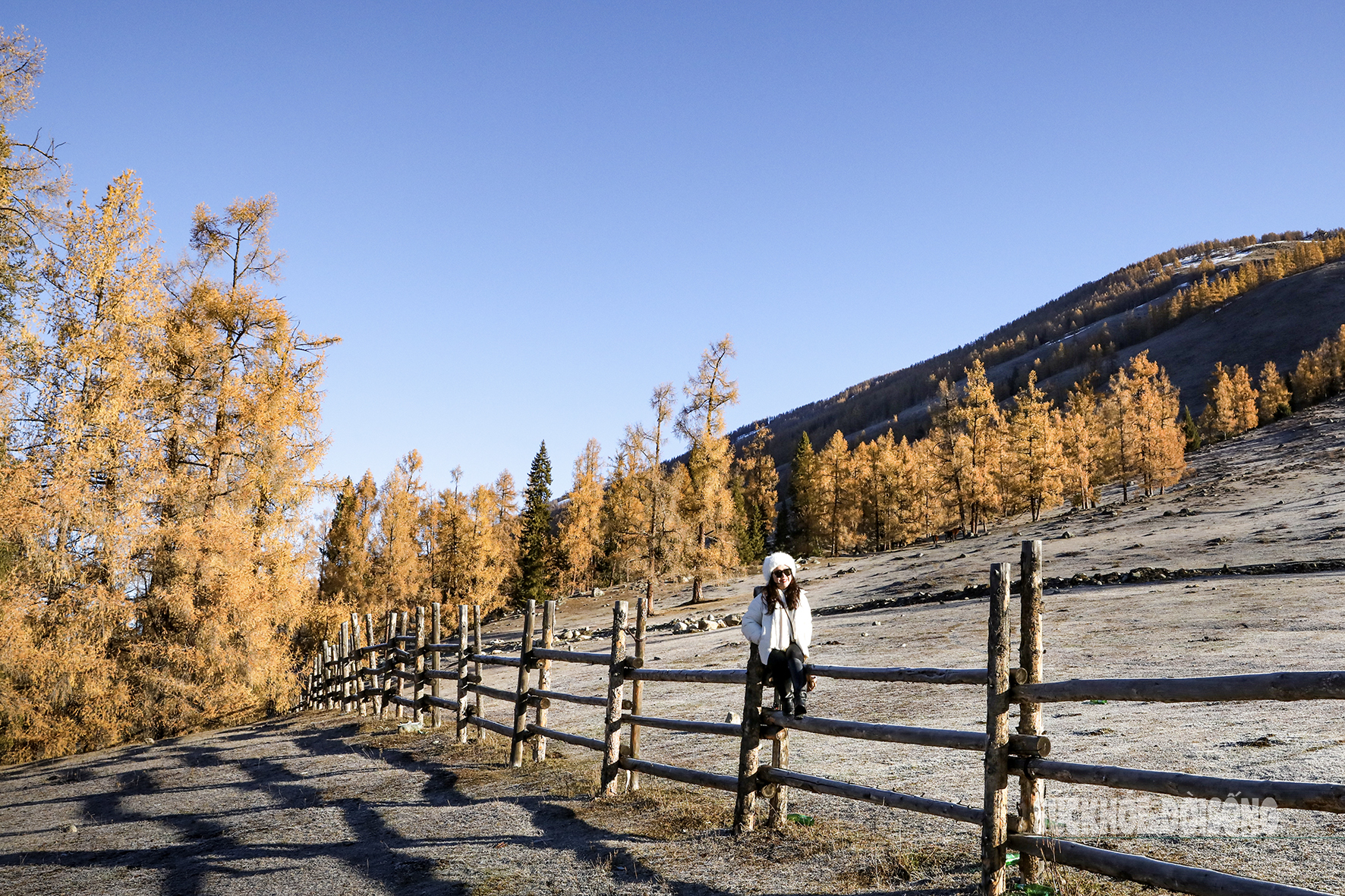 Mùa thu ở Tân Cương trải dài như dải lụa vàng giữa trời và đất- Ảnh 6. Mùa thu ở Tân Cương trải dài như dải lụa vàng giữa trời và đất- Ảnh 6.