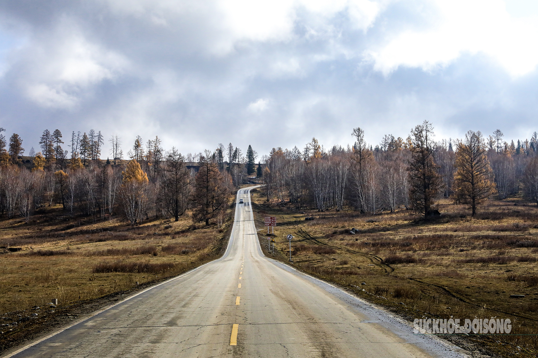 Mùa thu ở Tân Cương trải dài như dải lụa vàng giữa trời và đất- Ảnh 2. Mùa thu ở Tân Cương trải dài như dải lụa vàng giữa trời và đất- Ảnh 2.