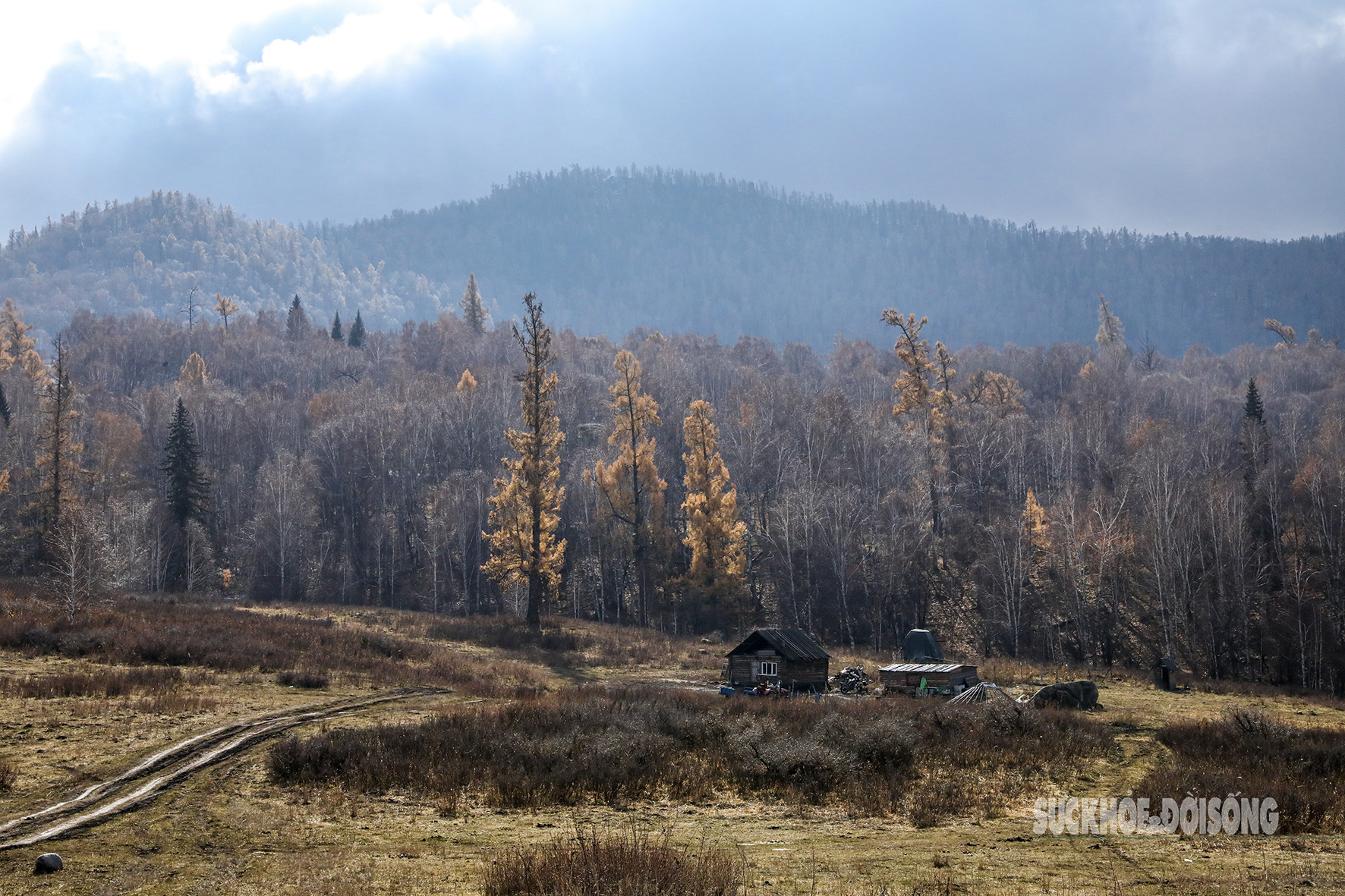 Mùa thu ở Tân Cương trải dài như dải lụa vàng giữa trời và đất- Ảnh 4. Mùa thu ở Tân Cương trải dài như dải lụa vàng giữa trời và đất- Ảnh 4.