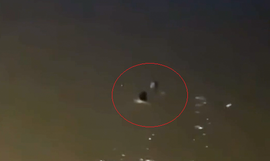 Người đàn ông 'vô danh' lao xuống dòng nước xiết cứu phụ nữ nhảy cầu- Ảnh 1. Người đàn ông 'vô danh' lao xuống dòng nước xiết cứu phụ nữ nhảy cầu- Ảnh 1.