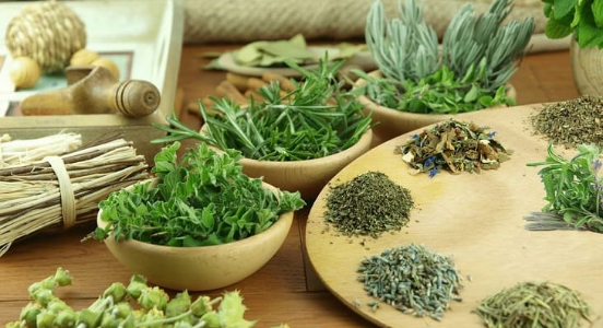 Hoàn thiện cơ chế, chính sách – nền tảng phát triển vùng nguyên liệu, hướng đi tất yếu cho ngành dược Việt Nam bền vững- Ảnh 1. Hoàn thiện cơ chế, chính sách – nền tảng phát triển vùng nguyên liệu, hướng đi tất yếu cho ngành dược Việt Nam bền vững- Ảnh 1.