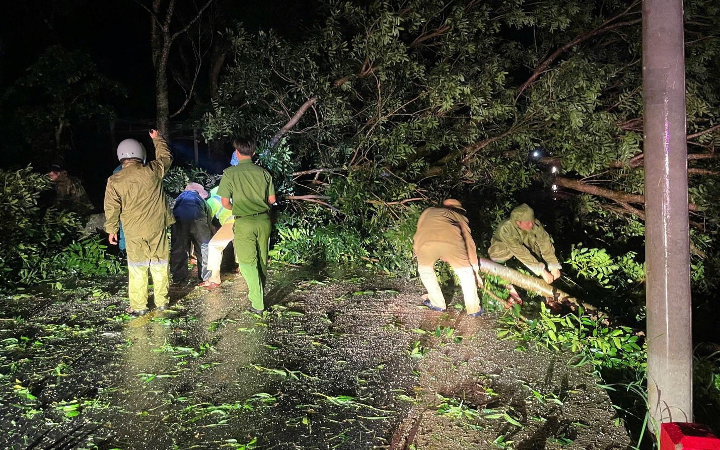 Quy Nhơn tan hoang sau bão số 13: Trụ đèn gãy đổ cả loạt, nhiều ngôi nhà tốc mái- Ảnh 12. Gia Lai và Đắk Lắk khẩn trương khắc phục hậu quả bão số 13