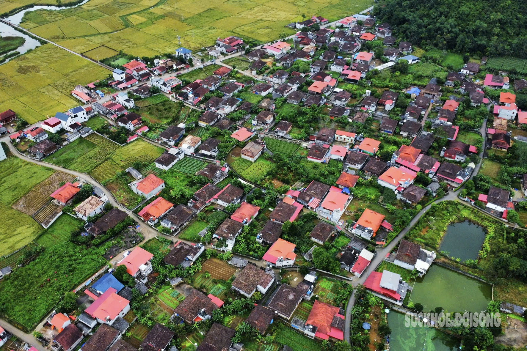 Quỳnh Sơn được Liên Hợp Quốc vinh danh là 'Làng du lịch tốt nhất 2025'- Ảnh 4. Quỳnh Sơn được Liên Hợp Quốc vinh danh là 'Làng du lịch tốt nhất 2025'- Ảnh 4.