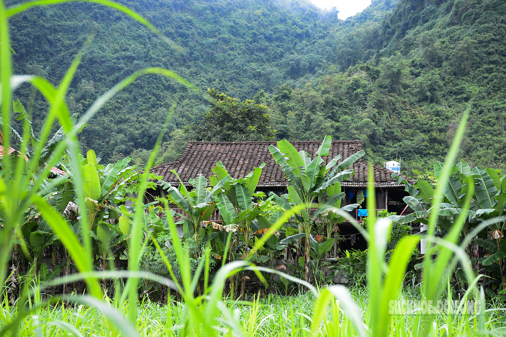 Quỳnh Sơn được Liên Hợp Quốc vinh danh là 'Làng du lịch tốt nhất 2025'- Ảnh 3. Quỳnh Sơn được Liên Hợp Quốc vinh danh là 'Làng du lịch tốt nhất 2025'- Ảnh 3.