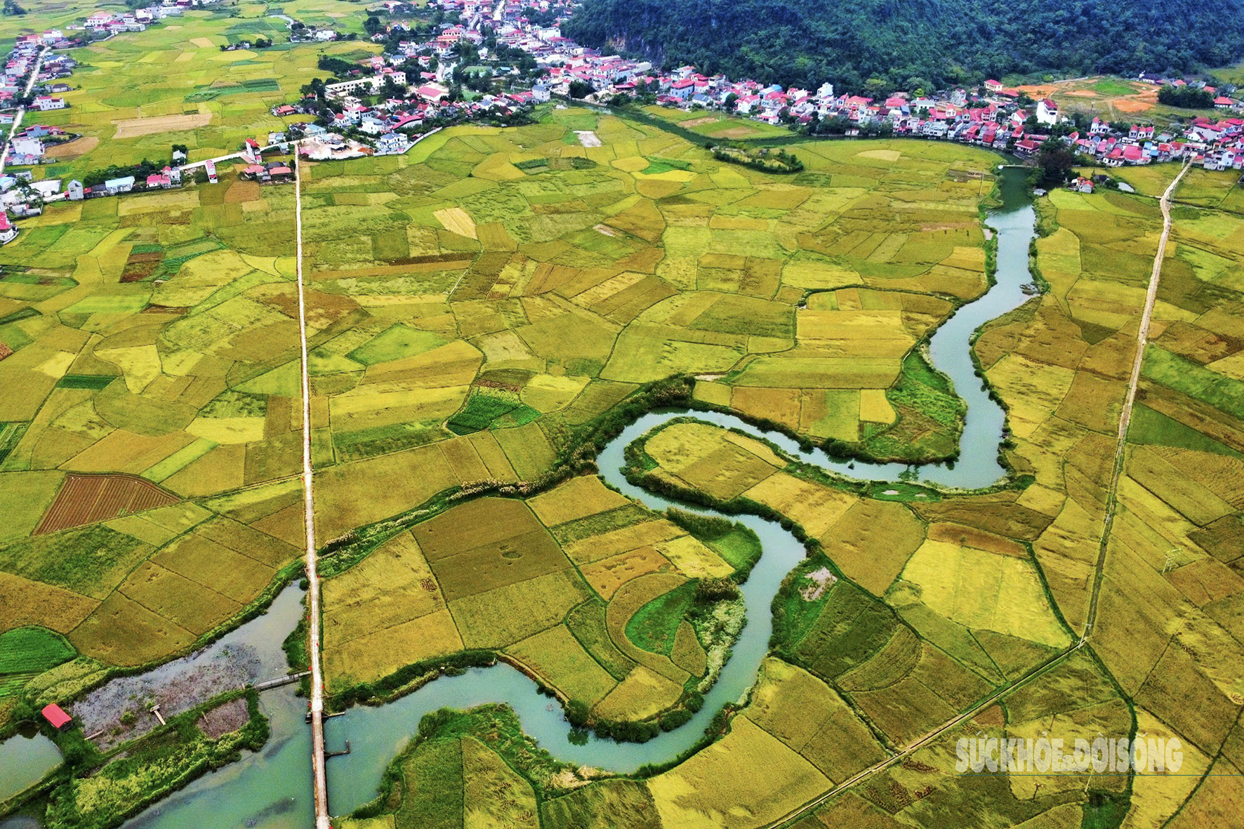 Quỳnh Sơn được Liên Hợp Quốc vinh danh là 'Làng du lịch tốt nhất 2025'- Ảnh 5. Quỳnh Sơn được Liên Hợp Quốc vinh danh là 'Làng du lịch tốt nhất 2025'- Ảnh 5.