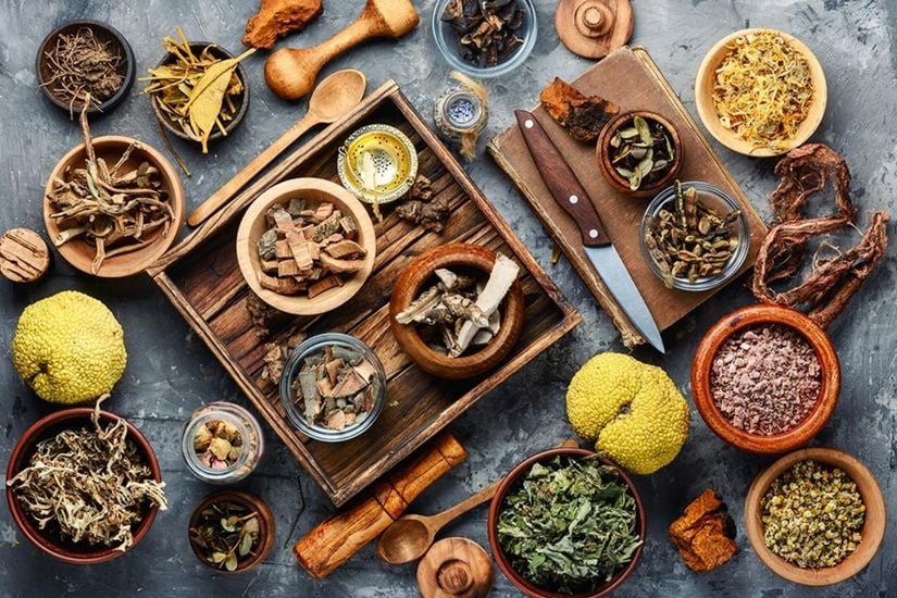 Совершенствование правовой базы для развития вьетнамской традиционной медицины в условиях международной интеграции - Фото 1. Hoàn thiện khung pháp để phát triển y dược cổ truyền Việt Nam trong hội nhập quốc tế- Ảnh 1.