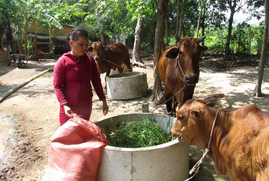 Tây Ninh phấn đấu giảm nghèo bền vững, hướng tới phát triển toàn diện- Ảnh 3.