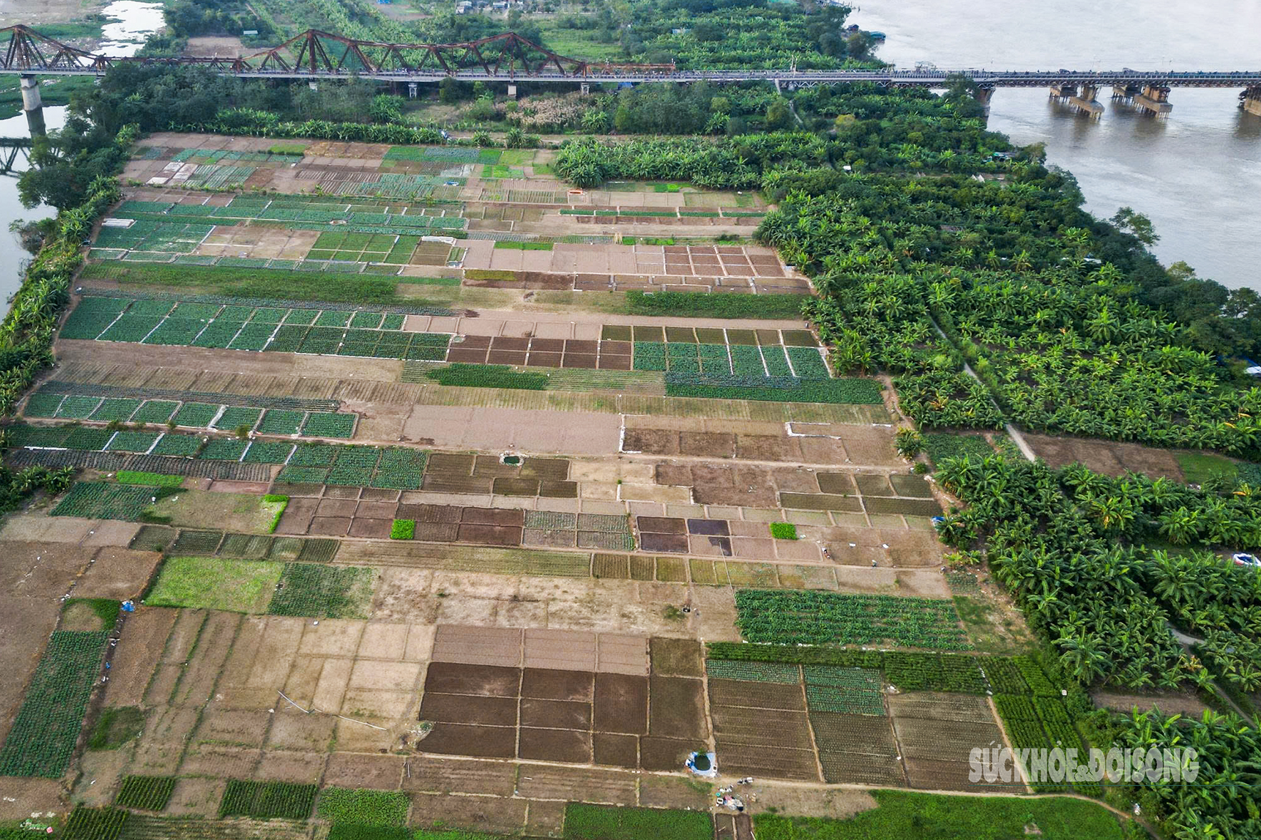 Bãi bồi sông Hồng trước ngày hình thành đại lộ 338.000 tỷ đồng- Ảnh 8.