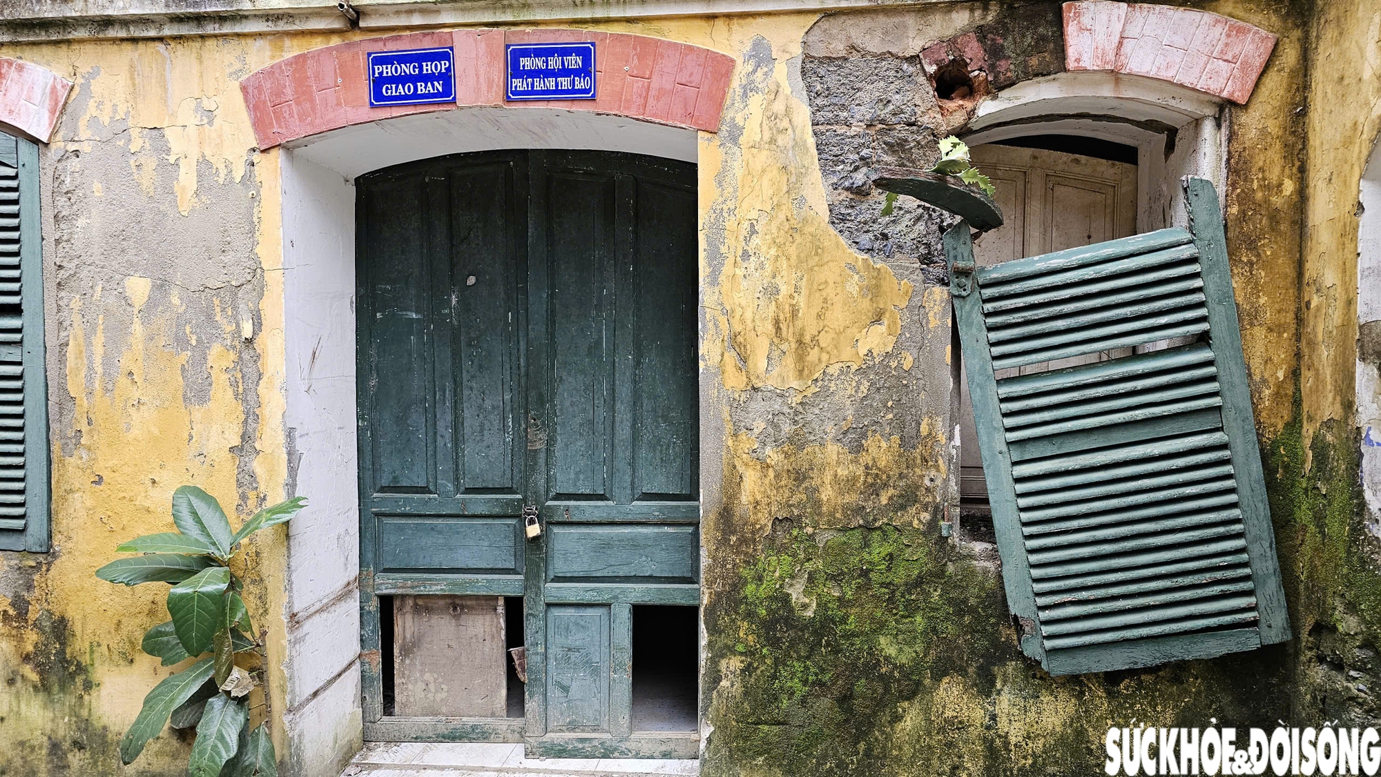 Cận cảnh biệt thự Pháp trăm năm tuổi ở Huế- Ảnh 9.