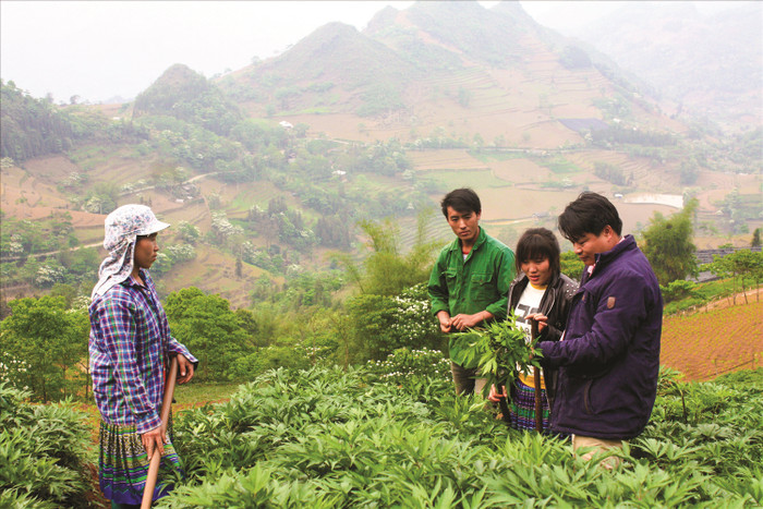 Nỗ lực bảo tồn nguồn dược liệu- Ảnh 1.