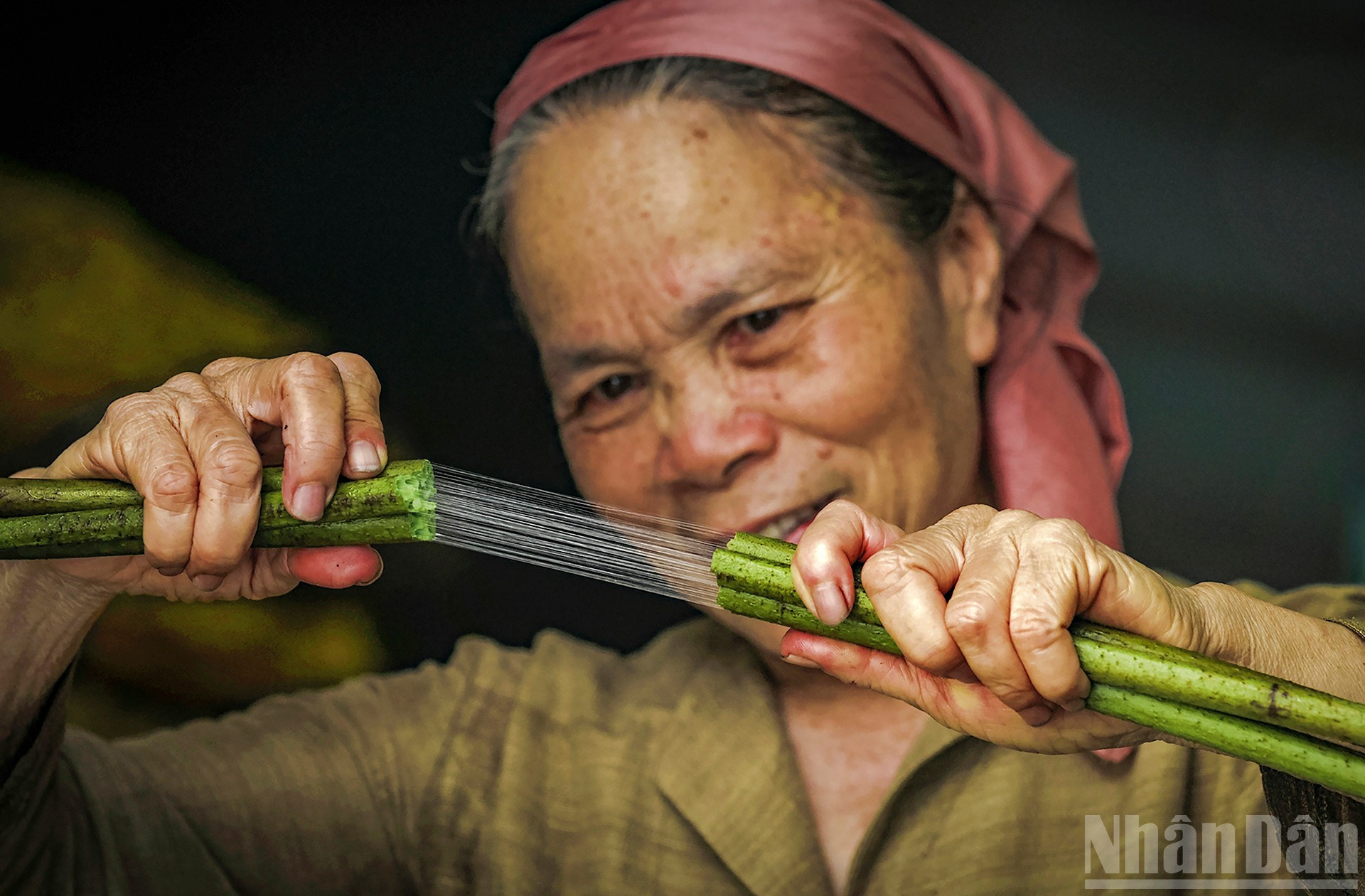 Câu chuyện ẩn chứa đằng sau chiếc áo dài tơ sen của 'công chúa hàng hiệu' Tiên Nguyễn- Ảnh 10. Câu chuyện ẩn chứa đằng sau chiếc áo dài tơ sen của 'công chúa hàng hiệu' Tiên Nguyễn- Ảnh 10.