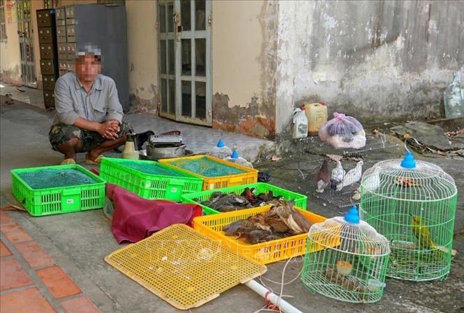 Người dân giao nộp 42 con chim, cò hoang dã để thả về tự nhiên- Ảnh 1.