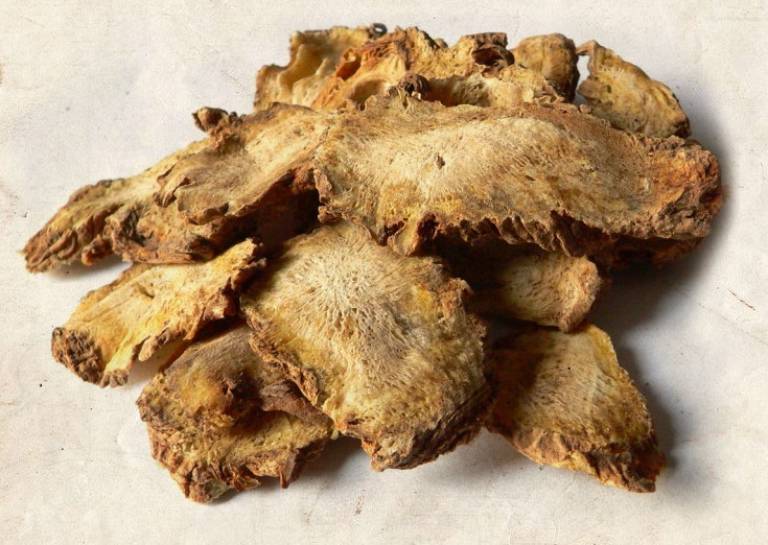 Ứng phó với đau xương khớp mùa lạnh bằng Y học cổ truyền- Ảnh 5.