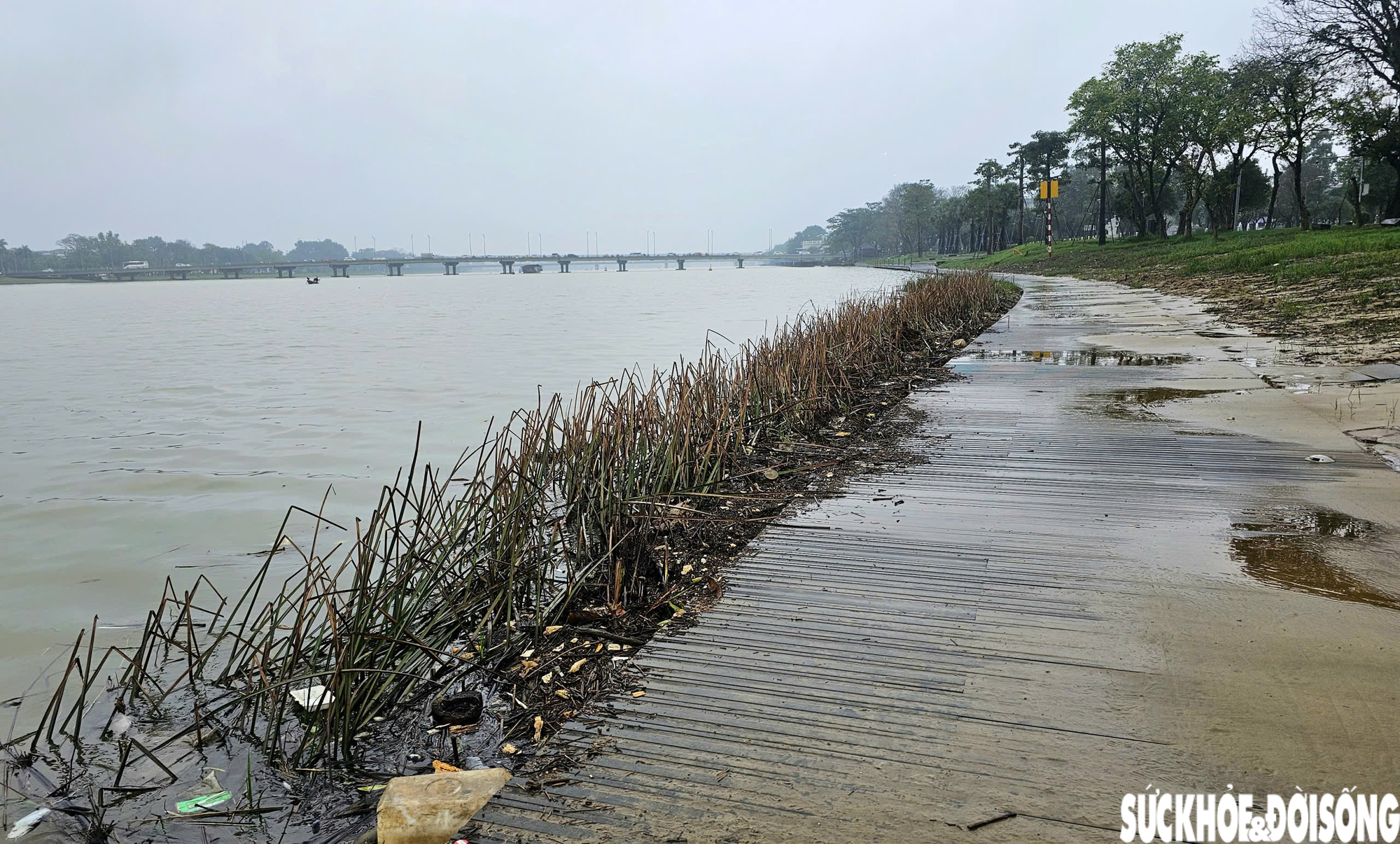 Hiện trạng sân khấu ngoài trời kết hợp đường dạo ven sông ở Huế sau lũ- Ảnh 11. Hiện trạng sân khấu ngoài trời kết hợp đường dạo ven sông ở Huế sau lũ- Ảnh 11.