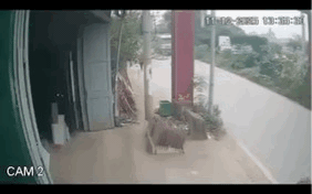 Clip cô gái lái xe máy buông 2 tay, vái lạy người đi đường- Ảnh 2.