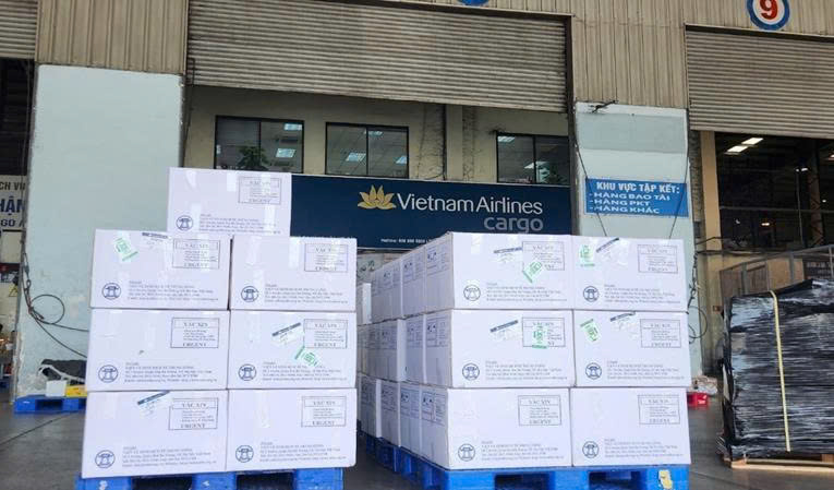 Säkerställa tillräcklig tillgång på vacciner i det utökade immuniseringsprogrammet - Foto 2.
Đảm bảo cung ứng đầy đủ các vắc xin trong Chương trình Tiêm chủng mở rộng- Ảnh 2.