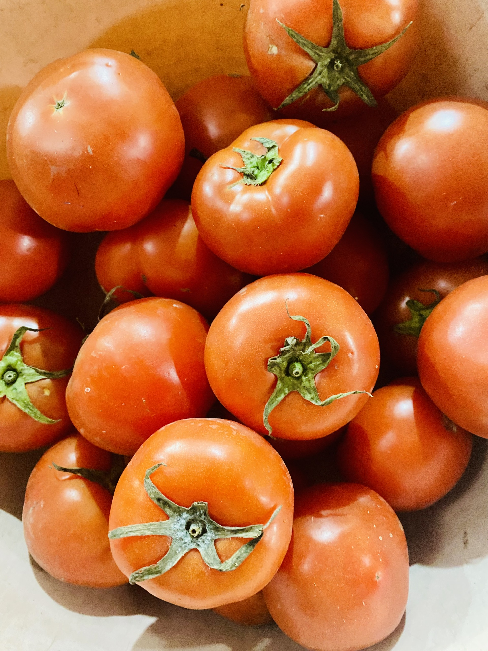 Loại quả trước chỉ vài nghìn đồng/kg, nay giá đắt đỏ ngang thịt khiến người mua hàng “choáng váng”- Ảnh 6. Loại quả trước chỉ vài nghìn đồng/kg, nay giá đắt đỏ ngang thịt khiến người mua hàng “choáng váng”- Ảnh 6.