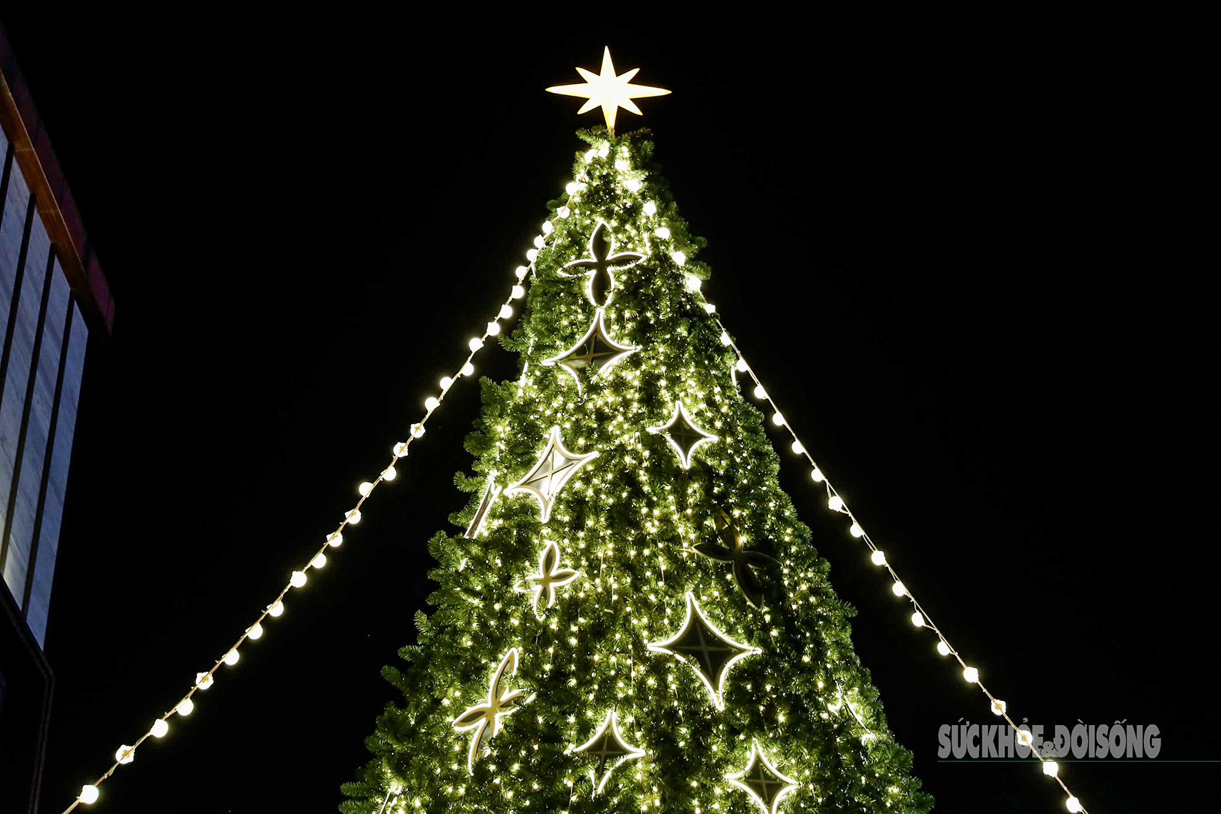 Hà Nội lung linh với hàng loạt cây thông Noel khổng lồ- Ảnh 9. Hà Nội lung linh với hàng loạt cây thông Noel khổng lồ- Ảnh 9.