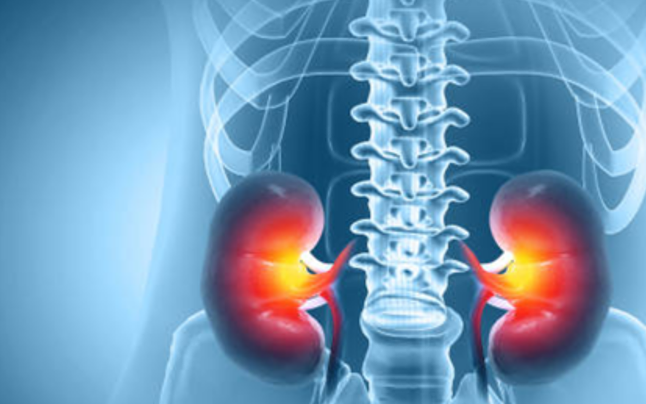 Tổn thương thận âm thầm từ thực phẩm chức năng và vitamin ‘tốt cho sức khỏe’ 1 photo 1765602376657 17656023776001480266892 0 0 404 646 crop 17656031553351725856033