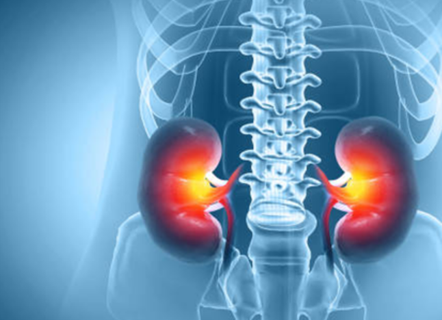 Tổn thương thận âm thầm từ thực phẩm chức năng và vitamin ‘tốt cho sức khỏe’- Ảnh 1. Tổn thương thận âm thầm từ thực phẩm chức năng và vitamin ‘tốt cho sức khỏe’- Ảnh 1.