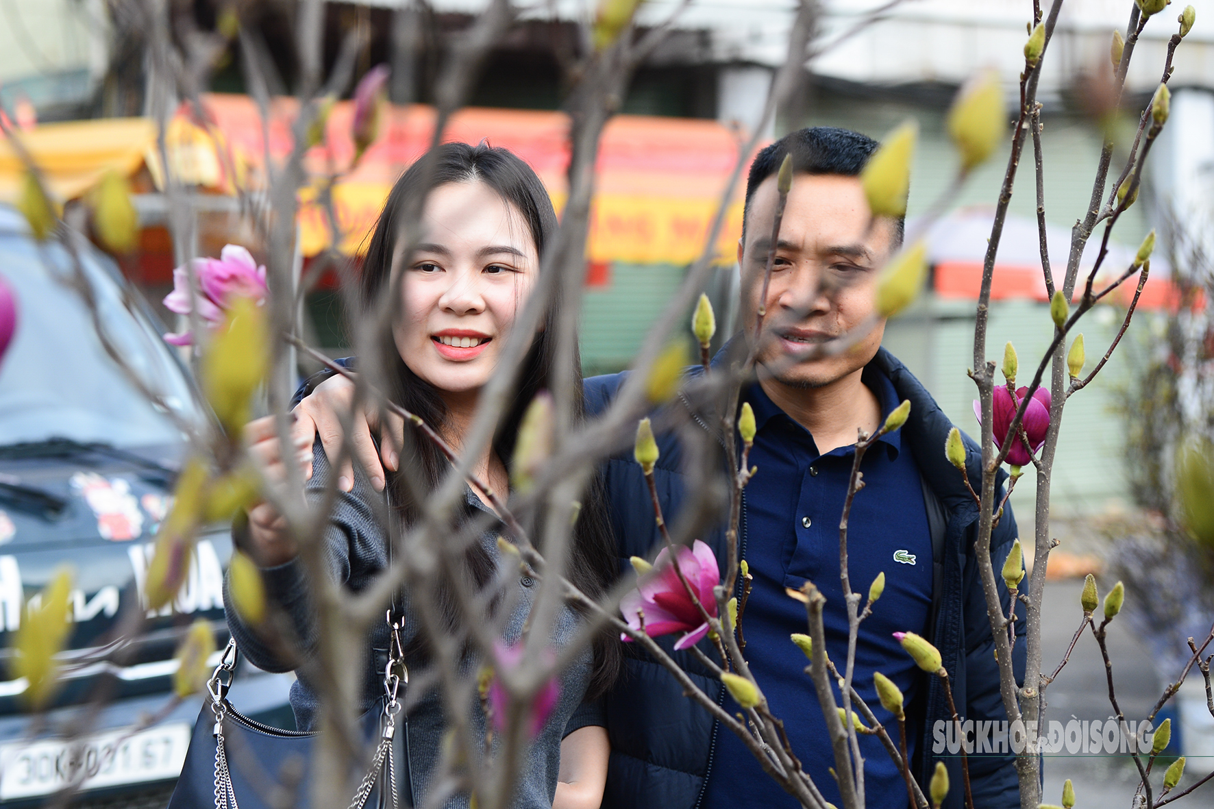 Còn hơn 2 tháng nữa mới Tết, hoa mộc lan nhập khẩu 'đổ bộ' chợ hoa Quảng An, người Hà Nội thích thú săn đón- Ảnh 7. Còn hơn 2 tháng nữa mới Tết, hoa mộc lan nhập khẩu 'đổ bộ' chợ hoa Quảng An, người Hà Nội thích thú săn đón- Ảnh 7.