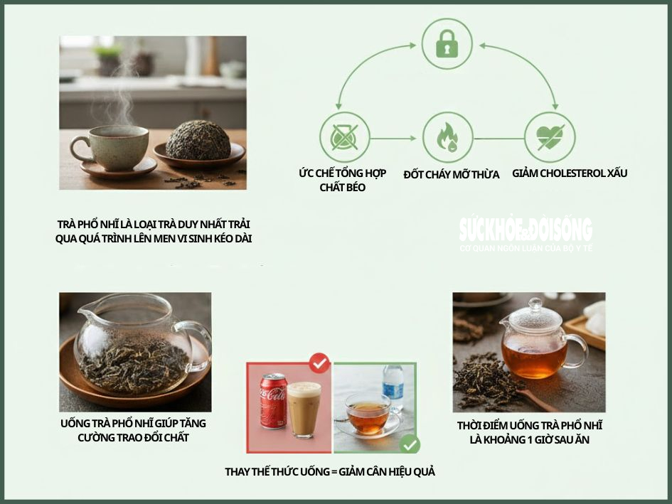 Trà Phổ Nhĩ: Bí mật giảm cân đến từ phương Đông- Ảnh 3. Trà Phổ Nhĩ: Bí mật giảm cân đến từ phương Đông- Ảnh 3.