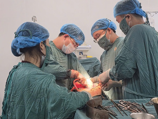 Cứu sống bệnh nhân bị tai nạn giao thông trong tình trạng nguy kịch- Ảnh 1. Cứu sống bệnh nhân bị tai nạn giao thông trong tình trạng nguy kịch- Ảnh 1.