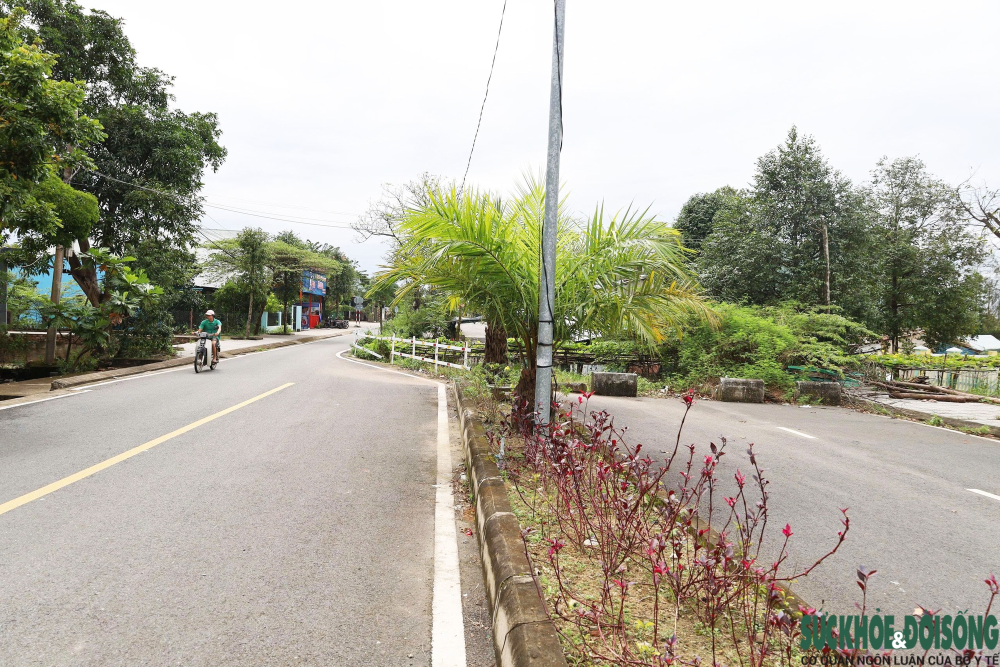 Cận cảnh con đường độc lạ, bị 'bẻ cong' vì một… ngôi nhà- Ảnh 4.