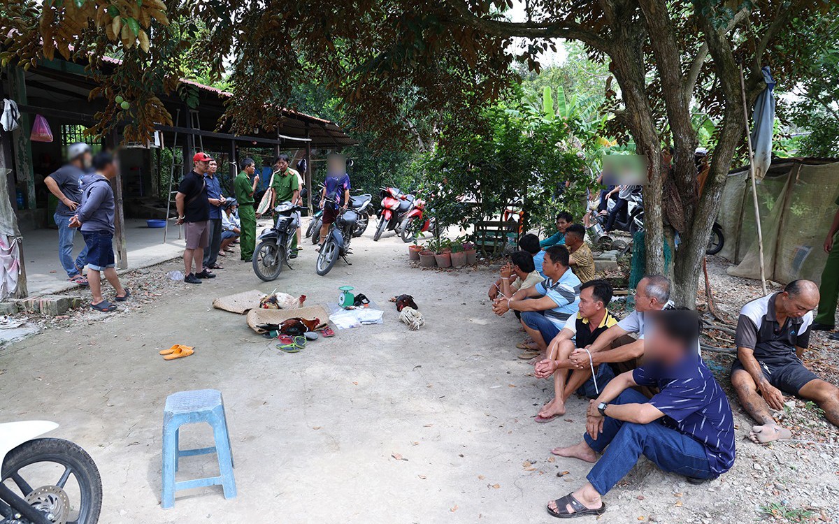 Bao vây trường gà giữa khu đất hoang, bắt 35 con bạc- Ảnh 2.