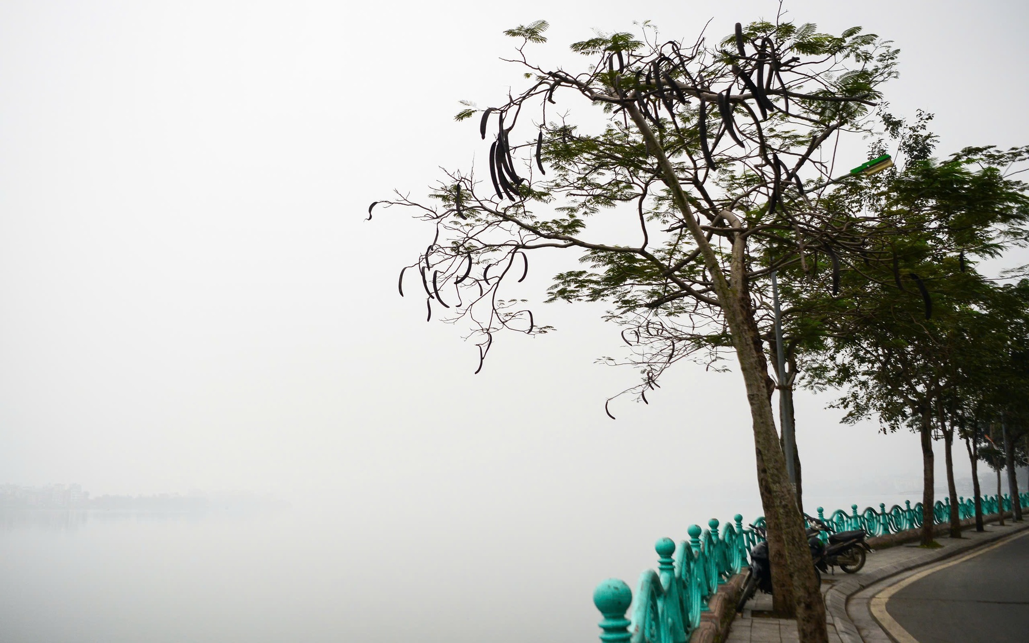 Miền Bắc trời rét kèm sương mù dài ngày