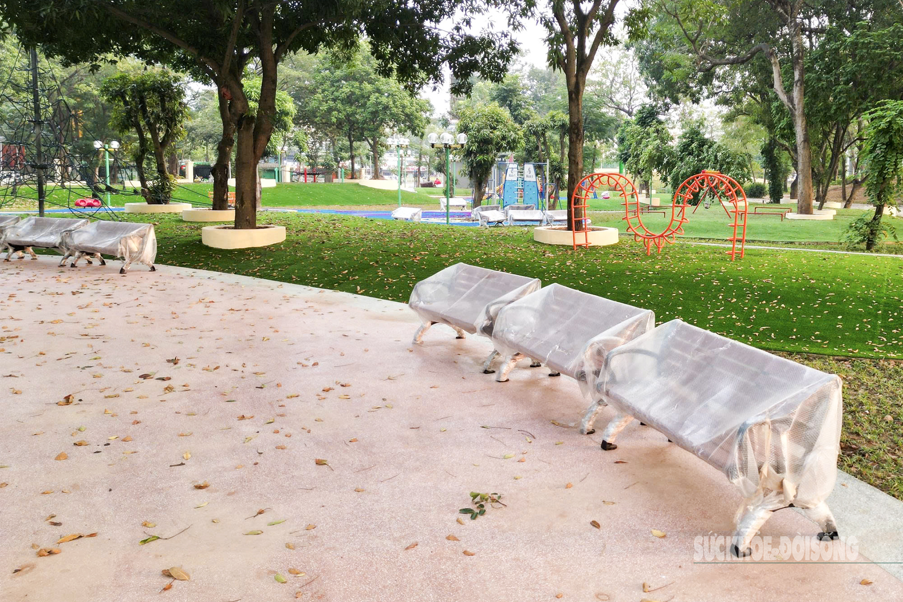 Công viên Nghĩa Đô 'lên dây đàn' giữa lòng Hà Nội- Ảnh 4.