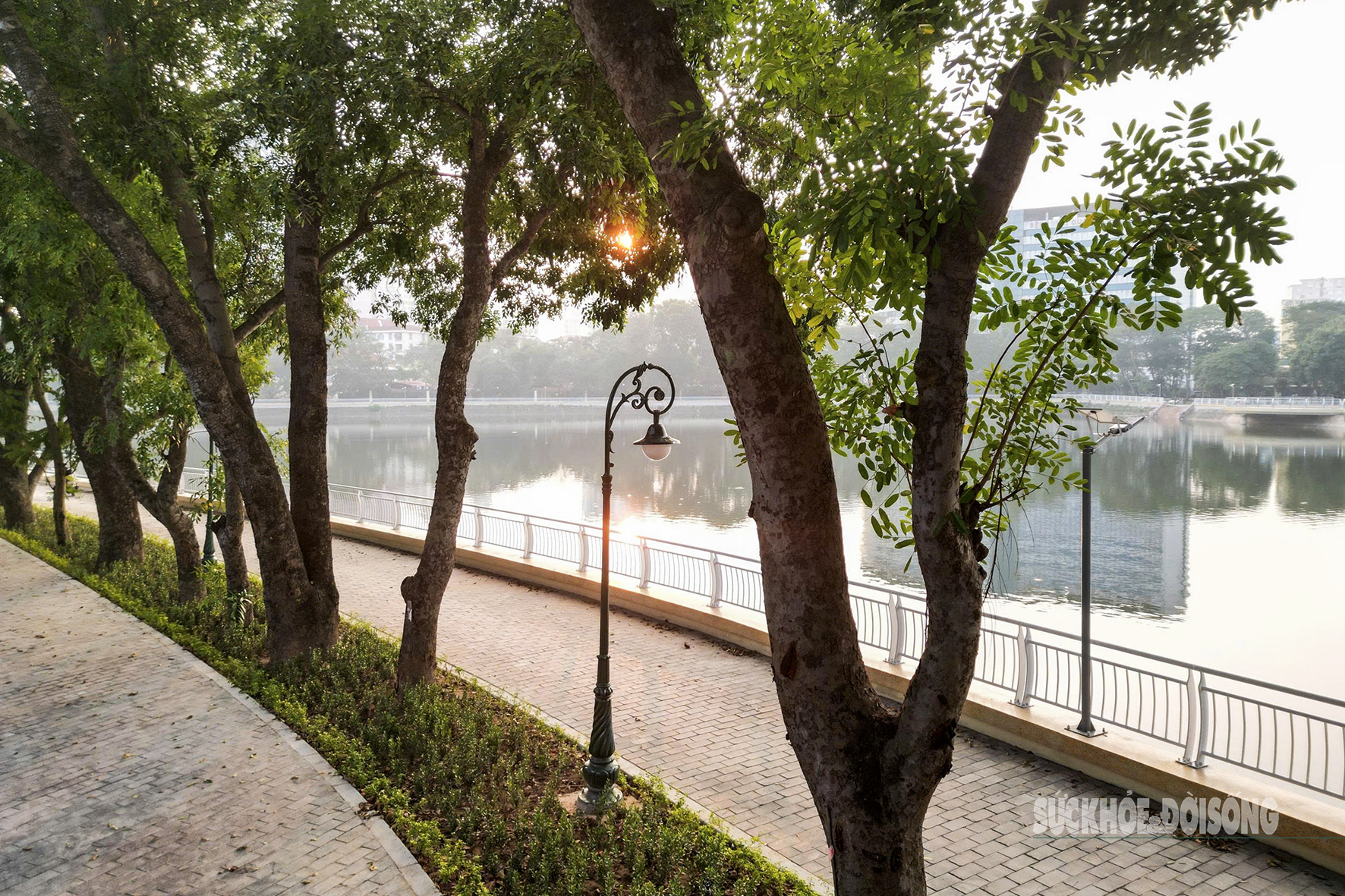 Công viên Nghĩa Đô 'lên dây đàn' giữa lòng Hà Nội- Ảnh 5.