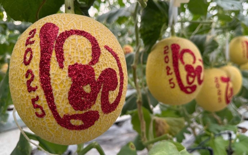 Độc đáo nghệ thuật hát bài chòi - sân chơi của những ván cờ- Ảnh 5. Độc đáo nghệ thuật hát bài chòi - sân chơi của những ván cờ- Ảnh 5.