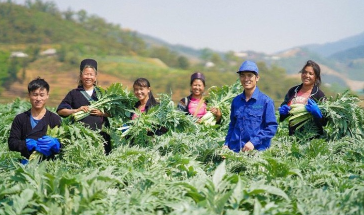 WHO thúc đẩy hội nhập y học cổ truyền vào hệ thống y tế toàn cầu- Ảnh 2. WHO thúc đẩy hội nhập y học cổ truyền vào hệ thống y tế toàn cầu- Ảnh 2.