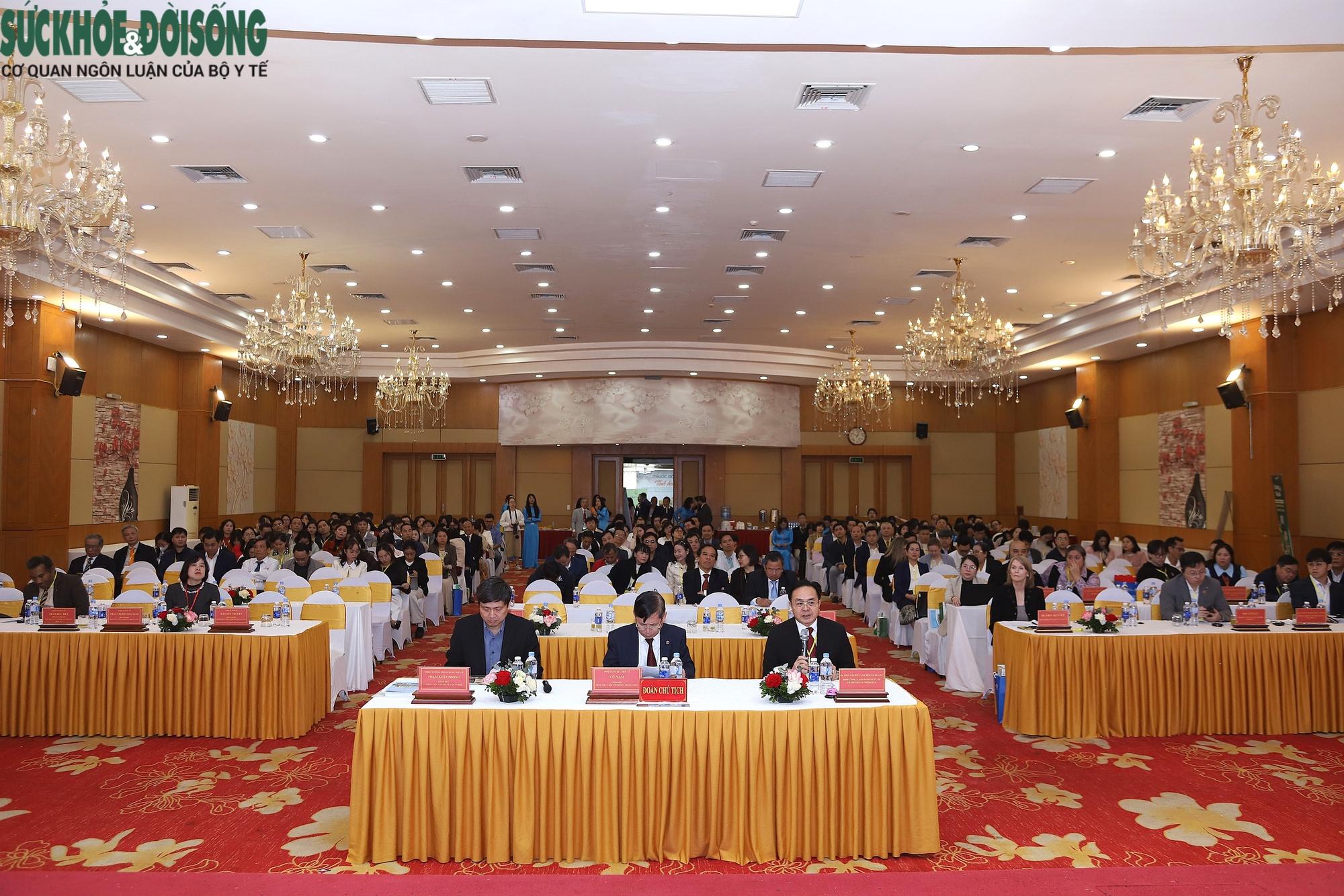  Kết hợp Y học cổ truyền và Y học hiện đại trong dự phòng và điều trị bệnh lý mạch máu não- Ảnh 3.