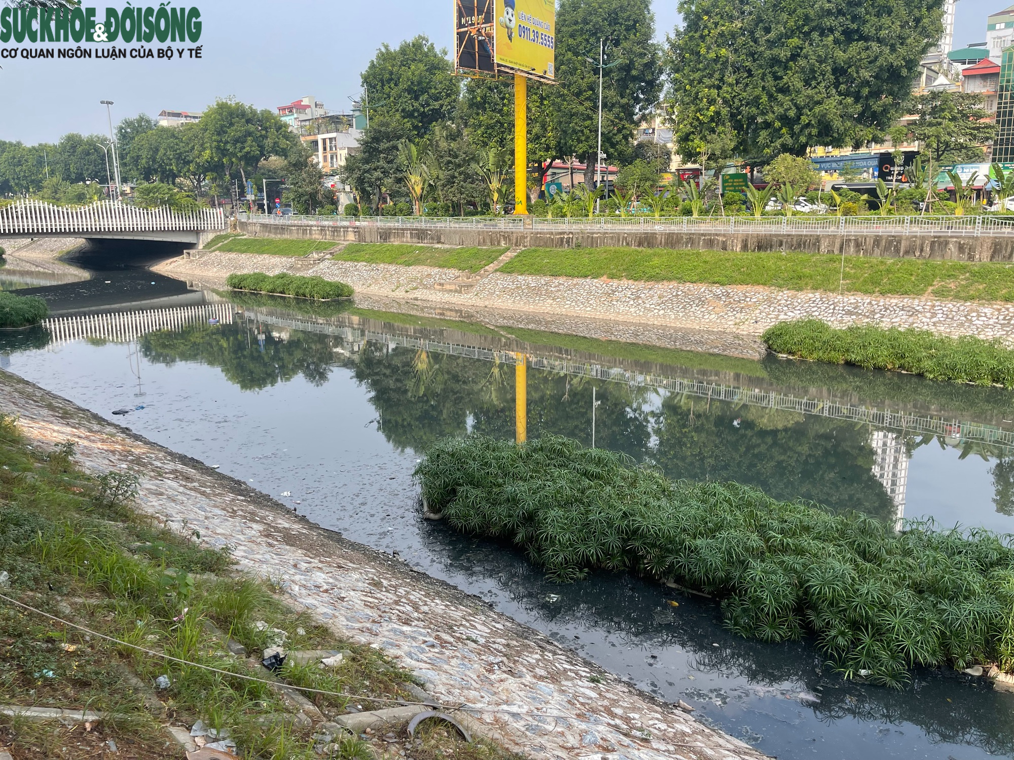 Nước sông Tô Lịch bất ngờ chuyển màu đen đặc- Ảnh 1.