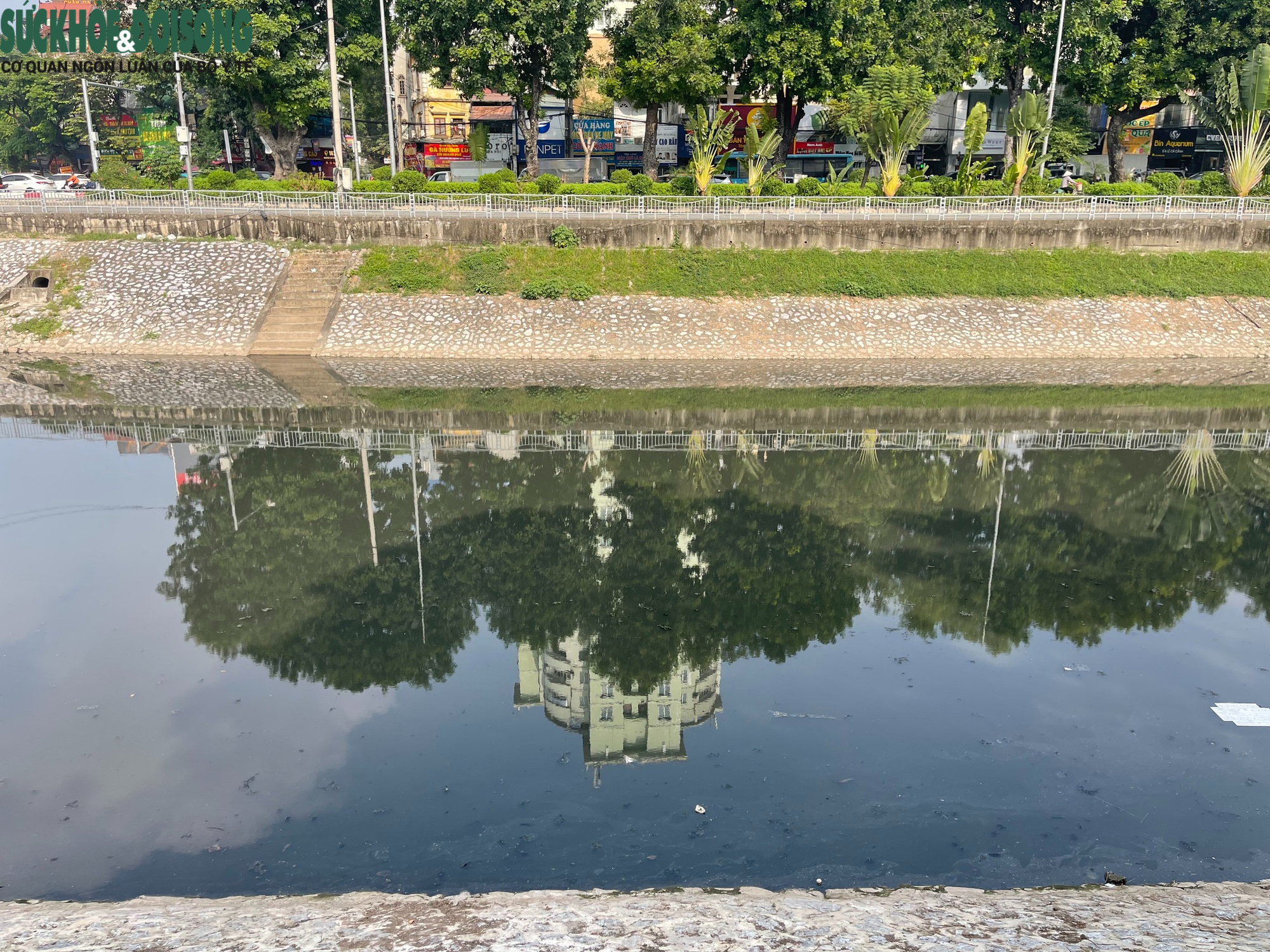 Nước sông Tô Lịch bất ngờ chuyển màu đen đặc- Ảnh 7.