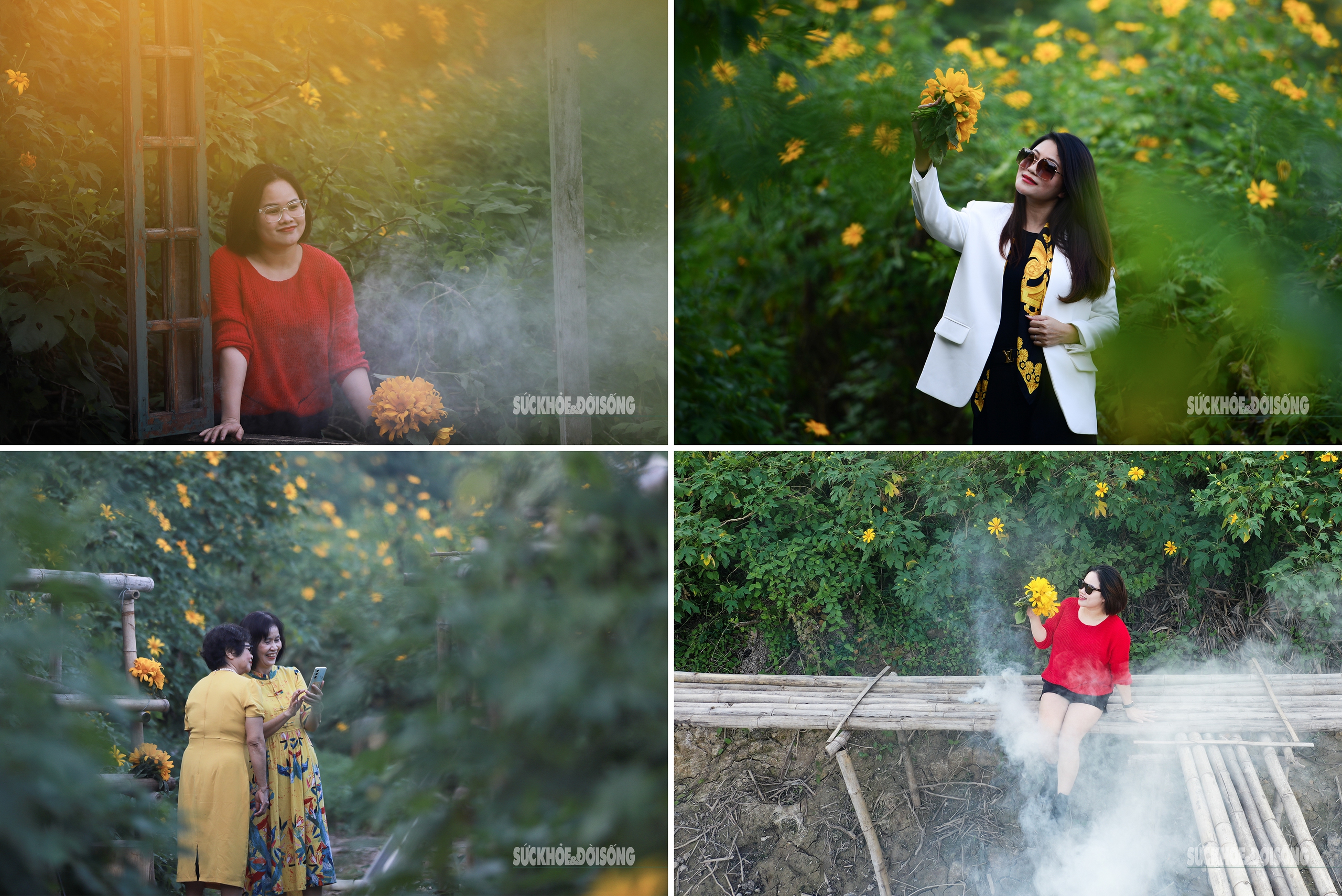 Vườn dã quỳ bung sắc giữa Thủ đô hút khách đến check-in- Ảnh 5.