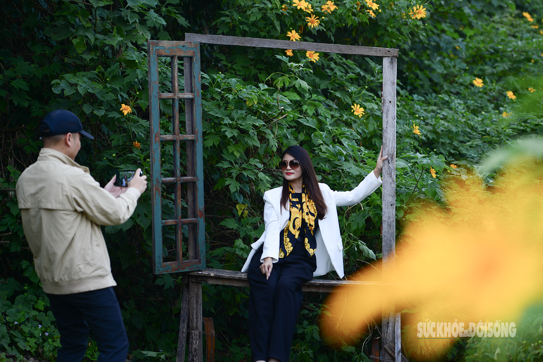 Vườn dã quỳ bung sắc giữa Thủ đô hút khách đến check-in- Ảnh 4.