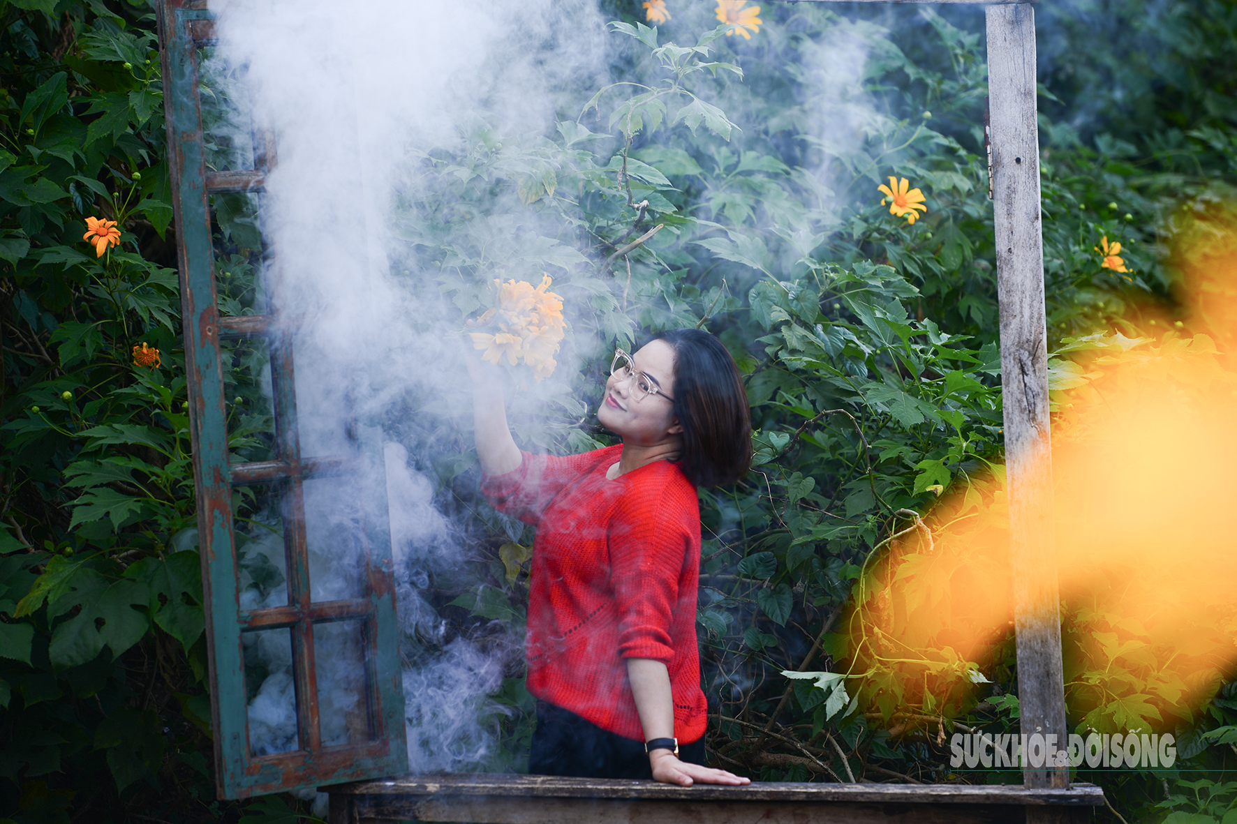 Vườn dã quỳ bung sắc giữa Thủ đô hút khách đến check-in- Ảnh 6.