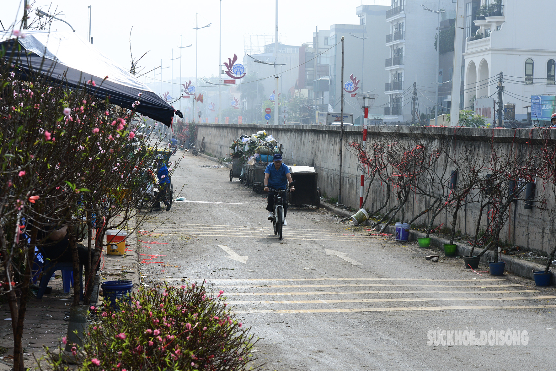 Hoa đào, lê, mận bung nở khoe sắc sớm dù 2 tháng nữa mới đến Tết Nguyên đán- Ảnh 4.