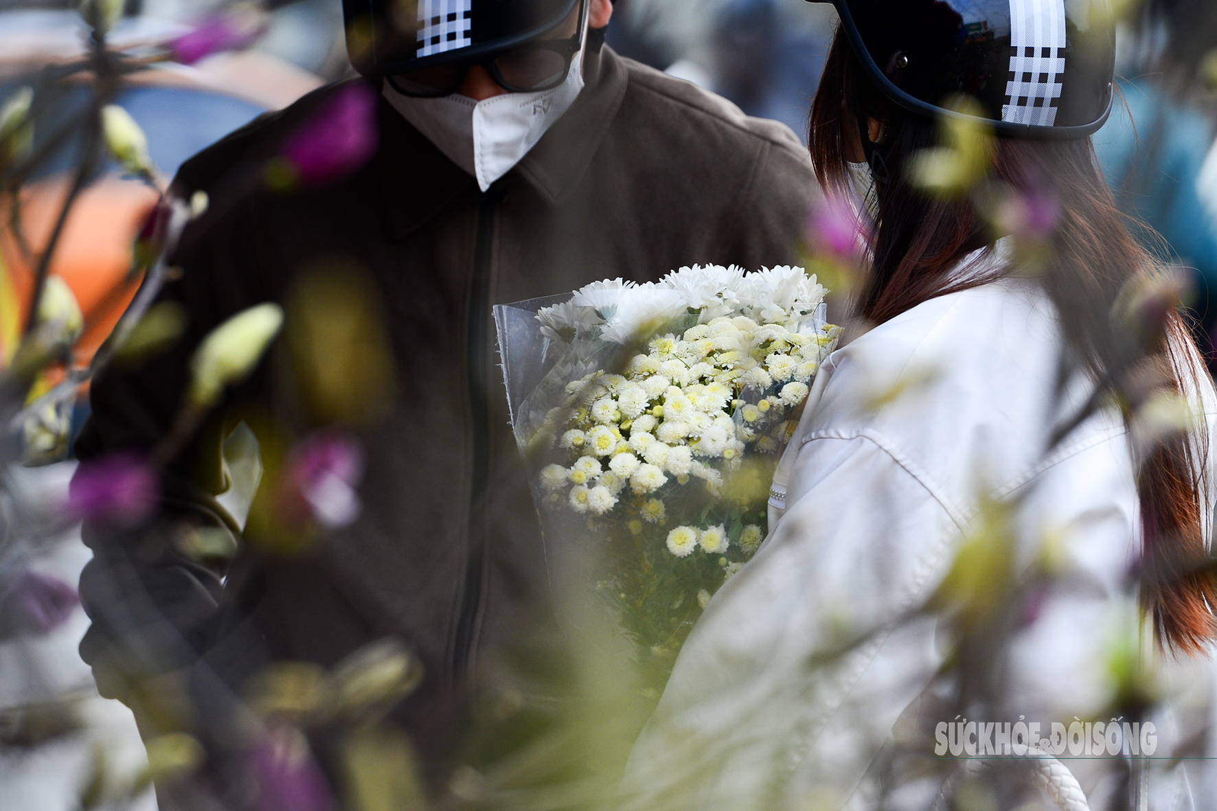 Hoa đào, lê, mận bung nở khoe sắc sớm dù 2 tháng nữa mới đến Tết Nguyên đán- Ảnh 11.