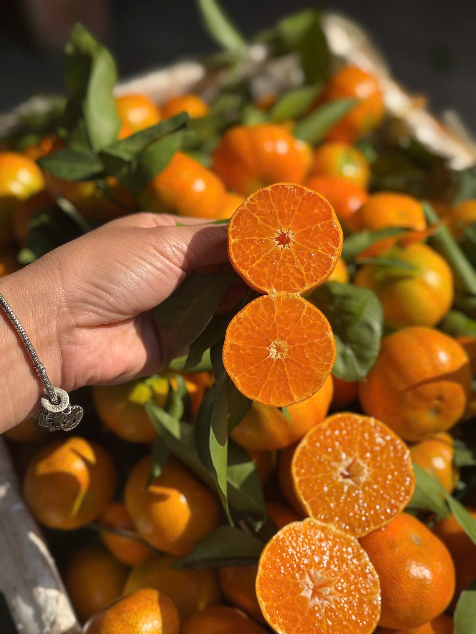 Tiểu thương 'tiết lộ' nguồn gốc thực sự của một loại cam đang bán tràn ngập chợ Việt- Ảnh 2.